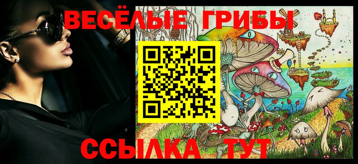 Галлюциногенные грибы Cubensis  Вход с VPN  Мыски 