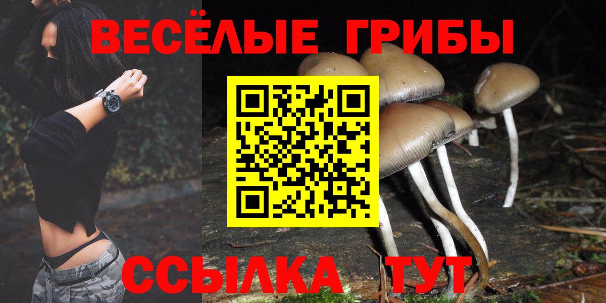 Галлюциногенные грибы мицелий Мыски